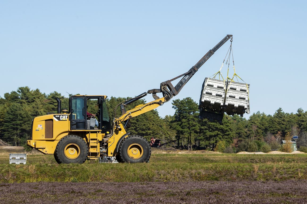 Overspray Removal Solution